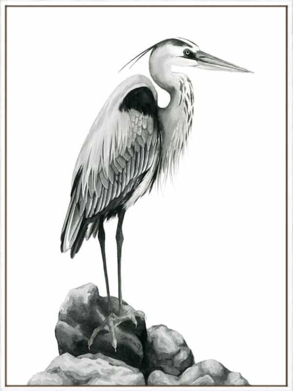 Shoreline Heron in B&W I - Canvas - Image 2