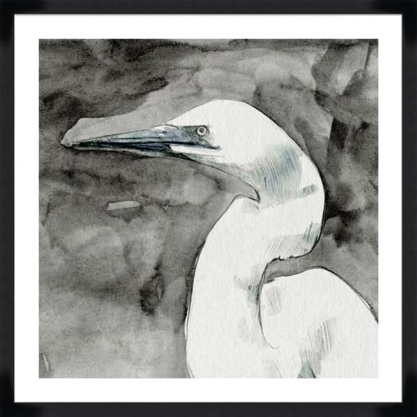 Solemn Egret II - 5cm White Border