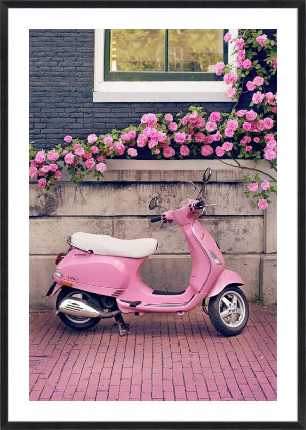 Vespa - 5cm White Border - Image 4