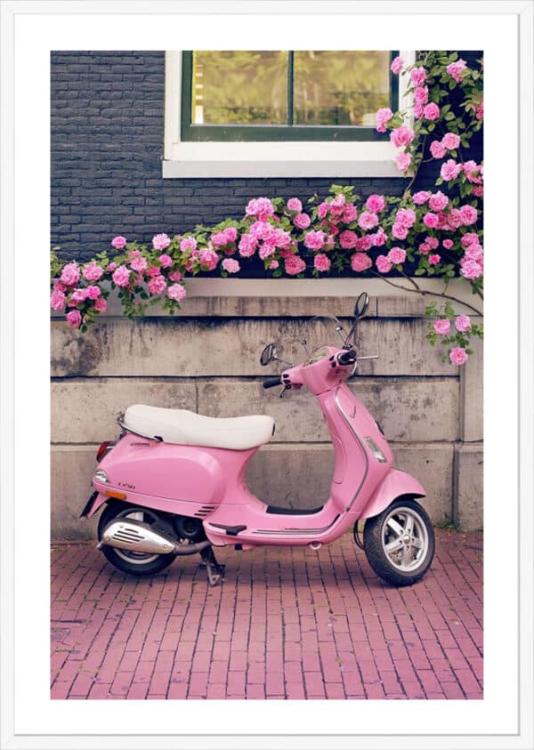 Vespa - 5cm White Border - Image 3