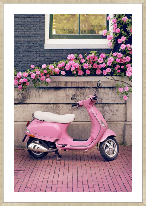 Vespa - 5cm White Border