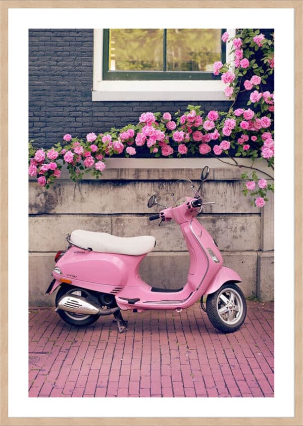 Vespa - 5cm White Border - Image 2