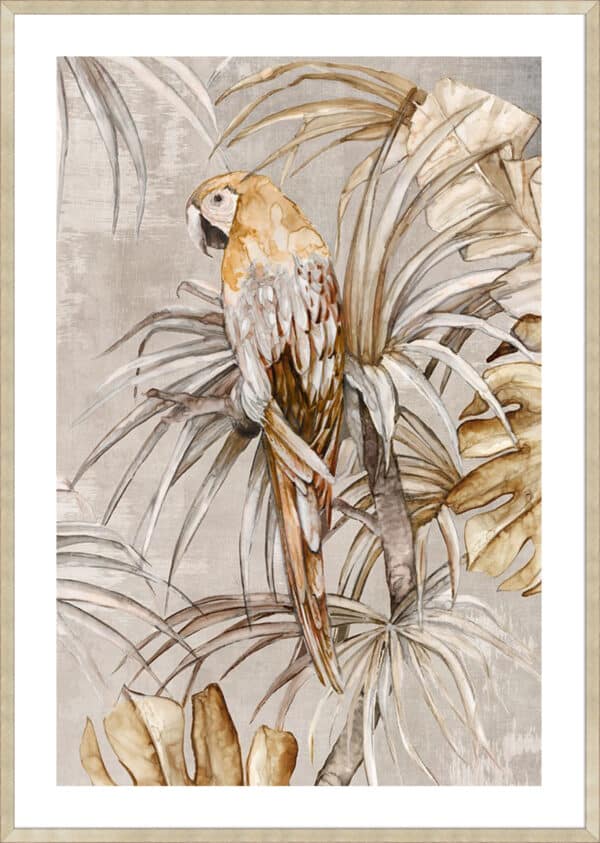 Vintage Parrot - 5cm White Border