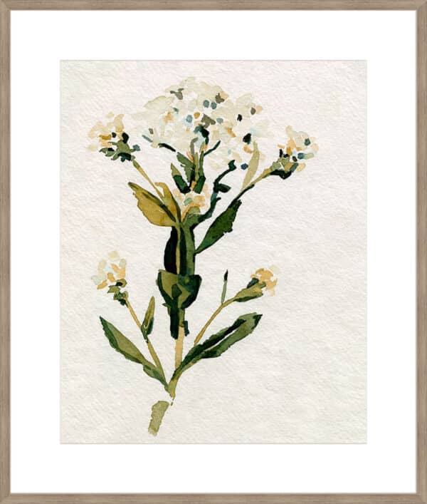 White Antique Wildflower II - 10cm Mount Board - Image 5