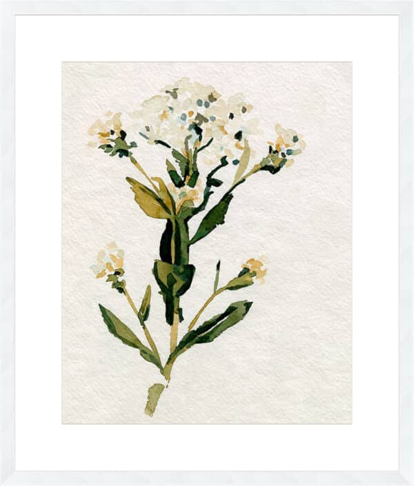 White Antique Wildflower II - 10cm Mount Board - Image 2