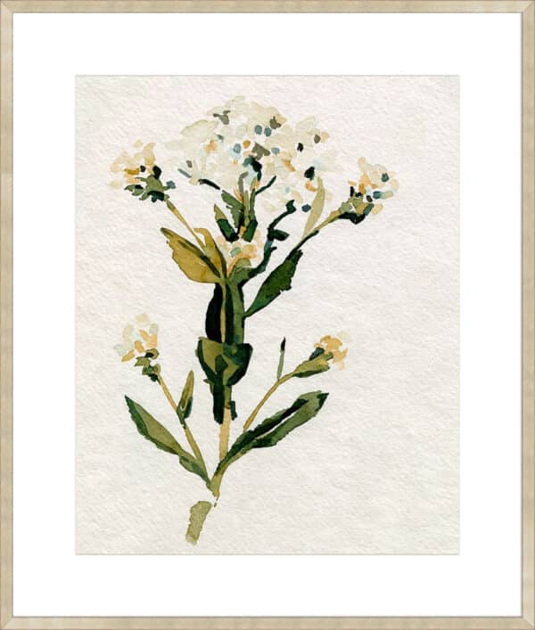 White Antique Wildflower II - 10cm Mount Board