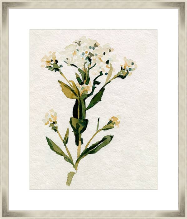 White Antique Wildflower II - 10cm Mount Board - Image 4