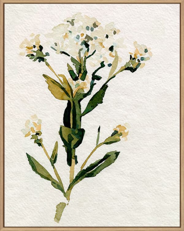 White Antique Wildflower II - Canvas