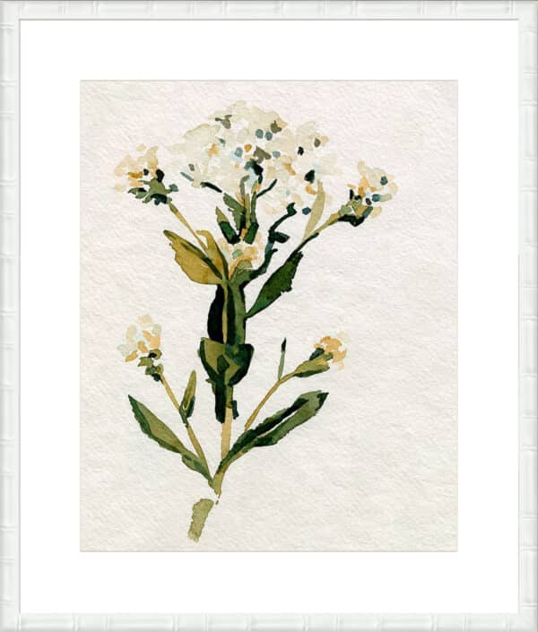 White Antique Wildflower II - 10cm Mount Board - Image 3