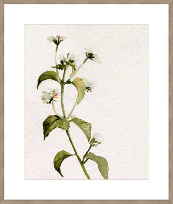 White Antique Wildflower I - 10cm Mount Board - Image 4