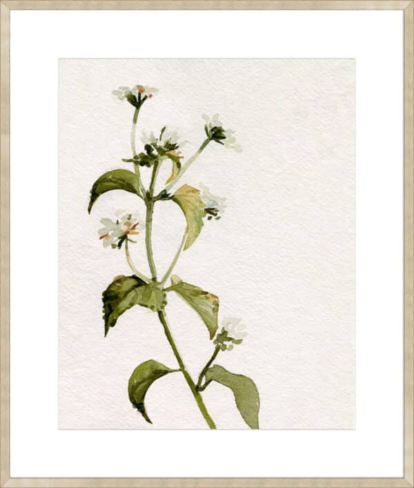 White Antique Wildflower I - 10cm Mount Board