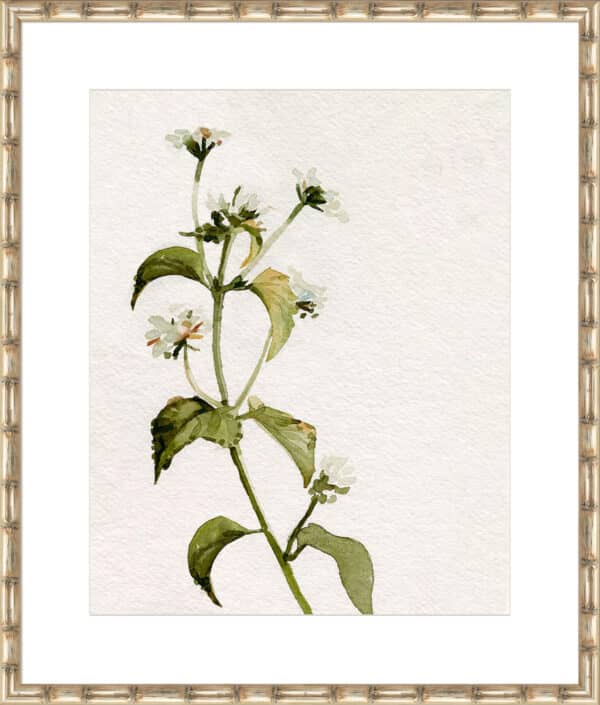 White Antique Wildflower I - 10cm Mount Board - Image 6