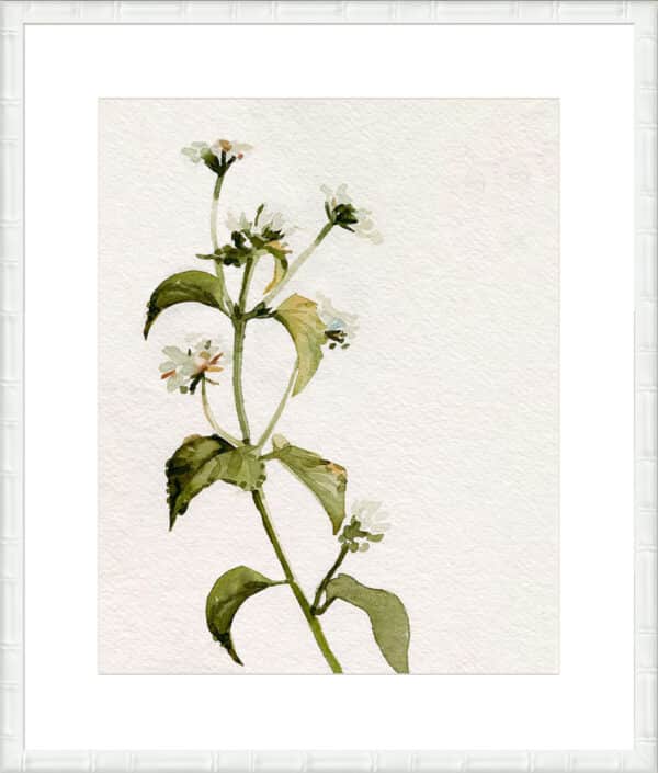 White Antique Wildflower I - 10cm Mount Board - Image 5