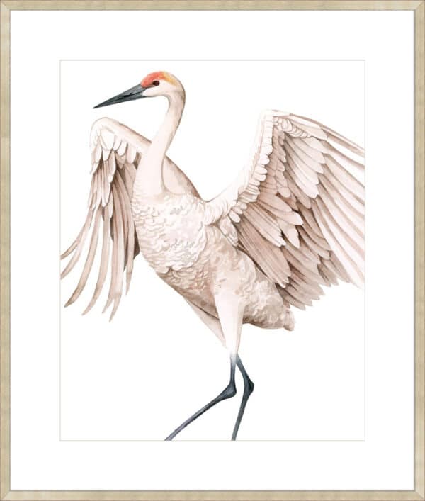 Whooping Crane II - 10cm Mount Board - Image 4