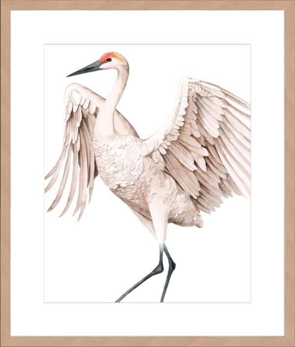 Whooping Crane II - 10cm Mount Board