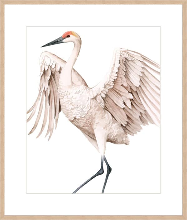 Whooping Crane II - 10cm Mount Board - Image 5