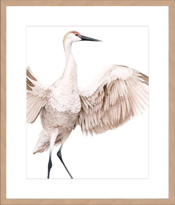 Whooping Crane I - 10cm Mount Board