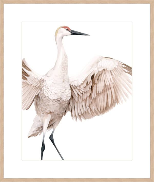 Whooping Crane I - 10cm Mount Board - Image 4