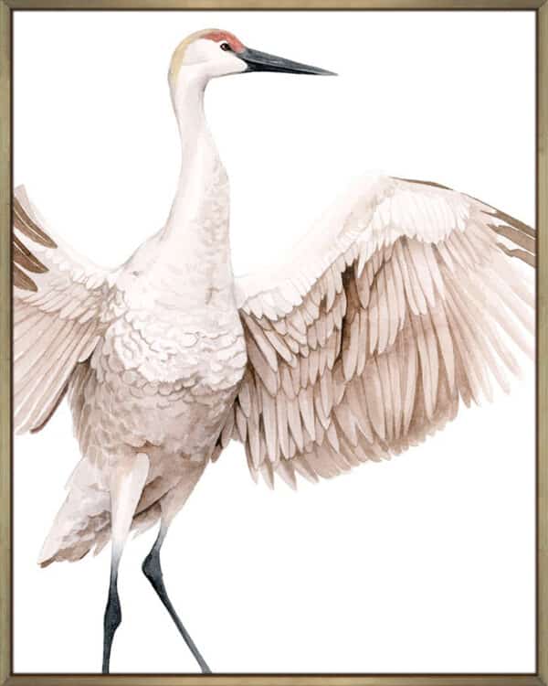 Whooping Crane I - Canvas