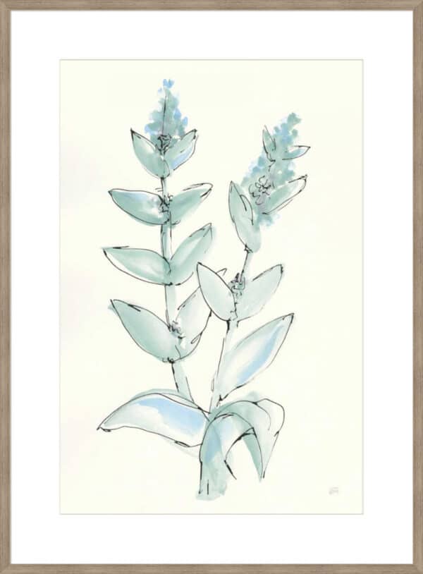 Lambs Ear Sage III - 10cm Mount Board - Image 5