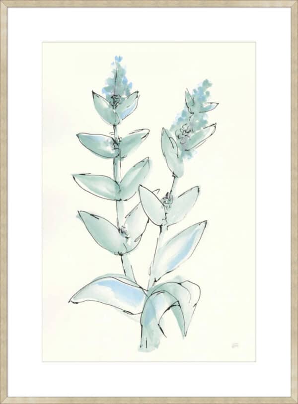 Lambs Ear Sage III - 10cm Mount Board - Image 4