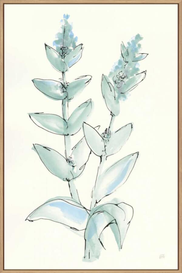 Lambs Ear Sage III - Canvas - Image 3