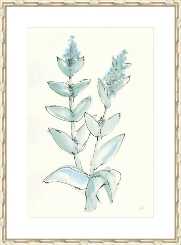 Lambs Ear Sage III - 10cm Mount Board - Image 3