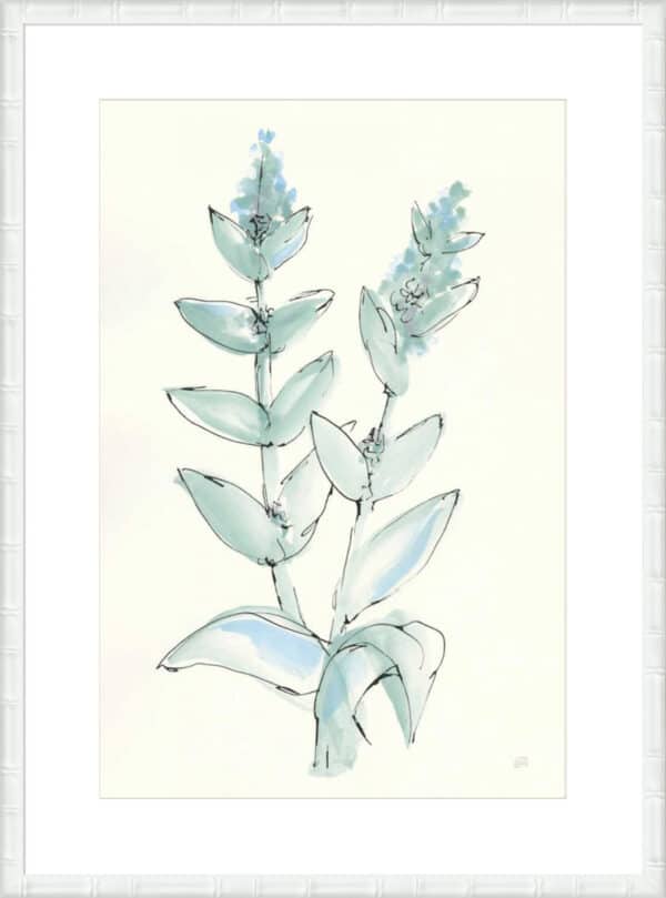 Lambs Ear Sage III - 10cm Mount Board - Image 2