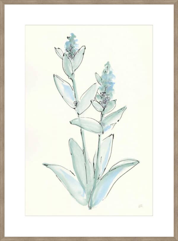 Lambs Ear Sage IV - 10cm Mount Board - Image 2