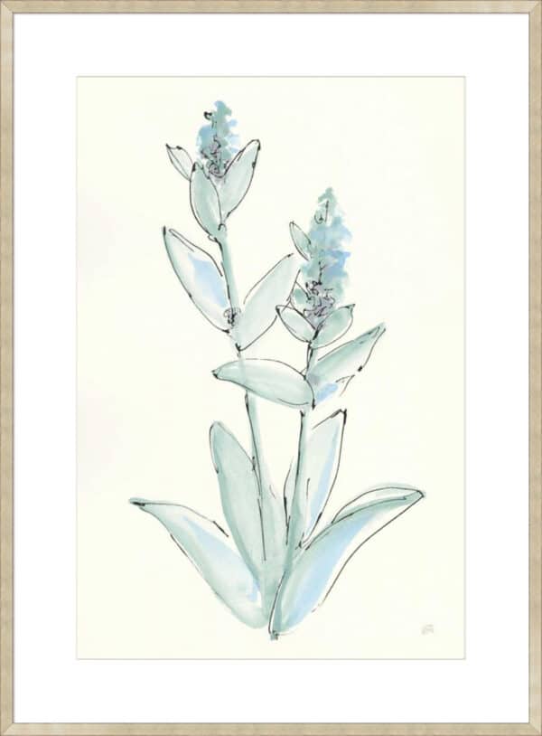 Lambs Ear Sage IV - 10cm Mount Board - Image 3