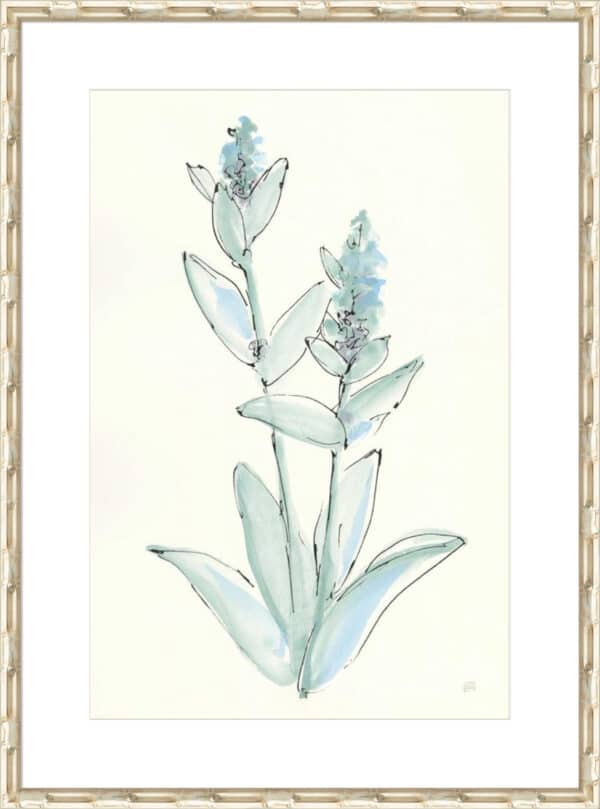 Lambs Ear Sage IV - 10cm Mount Board - Image 4