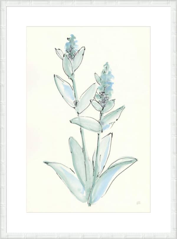 Lambs Ear Sage IV - 10cm Mount Board - Image 5