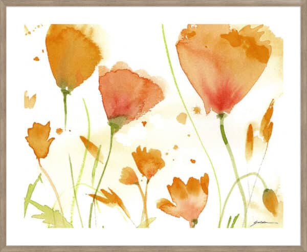 Poppy Moment - 5cm White Border