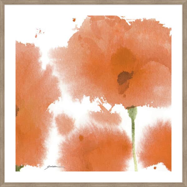 Red Orange Poppies - 5cm White Border