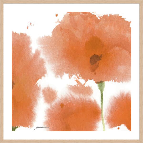 Red Orange Poppies - 5cm White Border - Image 4