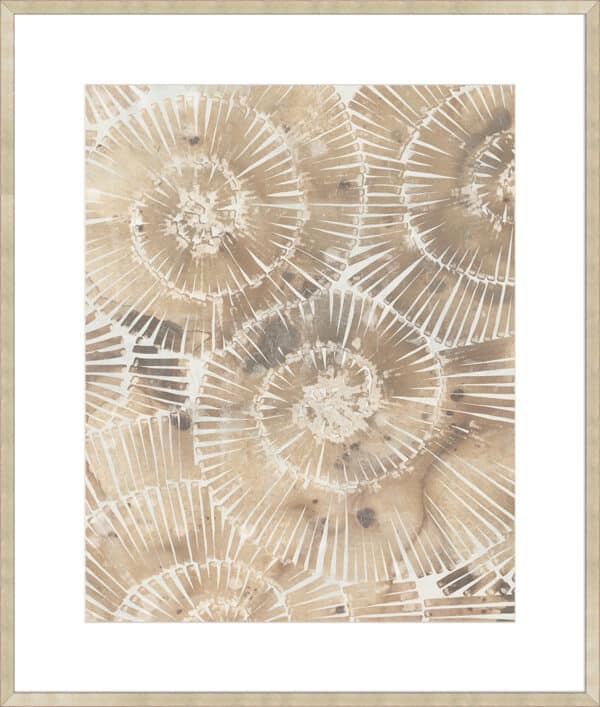 Fossil Nautilus I - 10cm Mount Board - Image 3