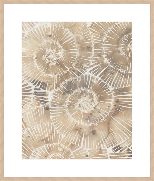 Fossil Nautilus I - 10cm Mount Board - Image 4