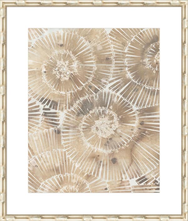 Fossil Nautilus I - 10cm Mount Board - Image 6