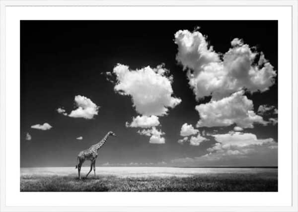 Gone with the Clouds - 5cm White Border - Image 3