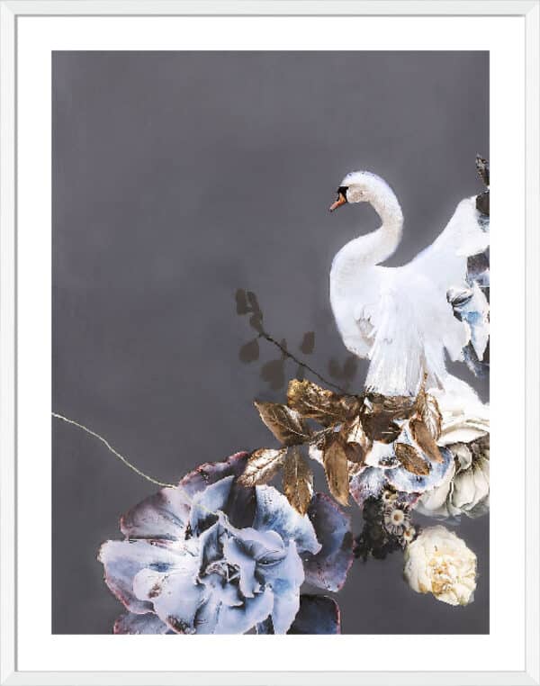 Swan Gold II - 5cm White Border - Image 2