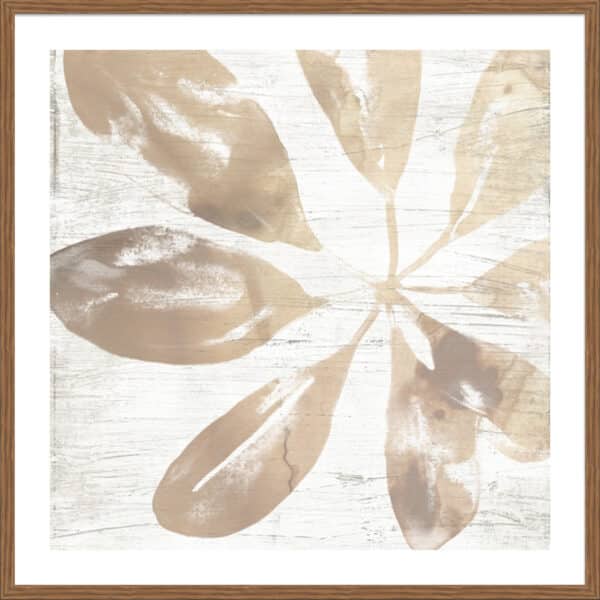 Neutral Palm Fossil III - 5cm White Border - Image 3