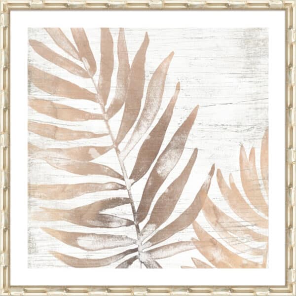 Neutral Palm Fossil II - 5cm White Border - Image 5