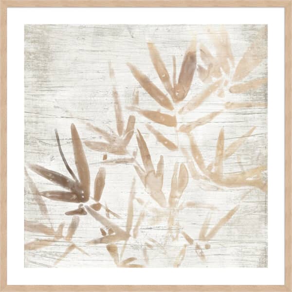 Neutral Palm Fossil IV - 5cm White Border - Image 5