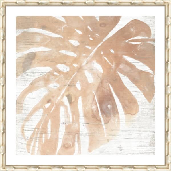 Neutral Palm Fossil I - 5cm White Border - Image 5