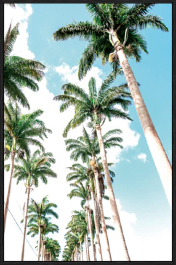 Palm Boulevard - Canvas - Image 3