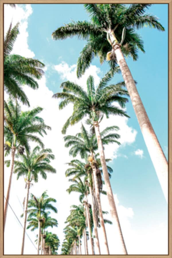 Palm Boulevard - Canvas - Image 2