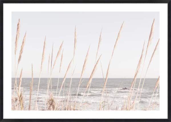 Studio III – Beach Vass 002 - 5cm White Border - Image 3