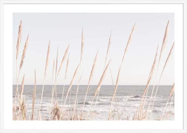 Studio III – Beach Vass 002 - 5cm White Border - Image 2