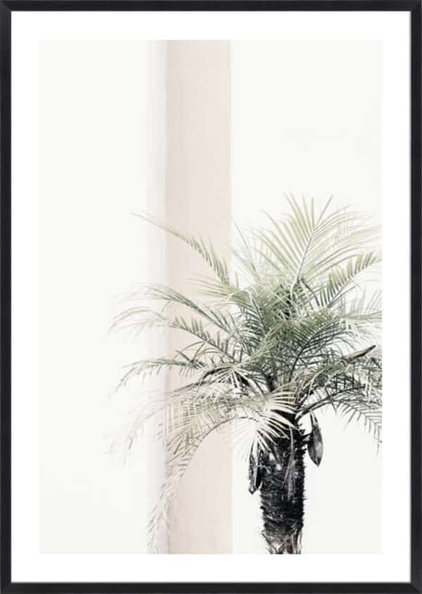 Studio III – Palm Tree - 5cm White Border - Image 3