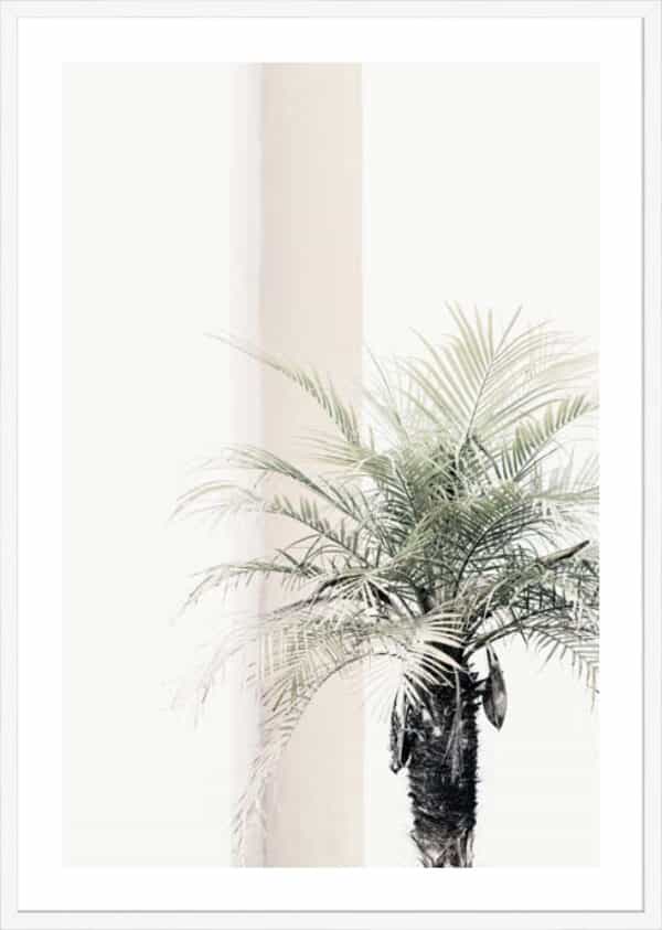 Studio III – Palm Tree - 5cm White Border - Image 2